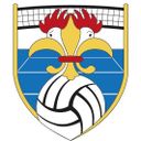 Logo du Versailles Volley Ball