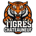 Logo du Chateauneuf Basket-Ball