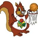 Logo du ES Mas d'Auvignon Saint-Puy