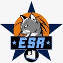 Logo du Etoile Sportive Romévienne