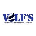 Logo du Fonsorbes Seysses Volley Ball