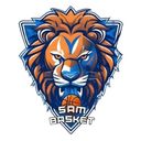 Logo du Saint André de la Marche Basket