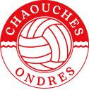 Logo du Ondres Volley-Ball