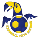 Logo du Handball Pays Rochois
