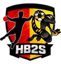 Logo du HBC Saint Sulpice Bessières