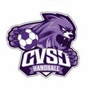 Logo du CVSD Handball