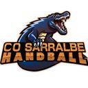 Logo du CO Sarralbe Handball