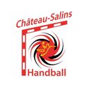 Logo du Château Salins Handball