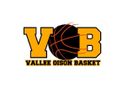 Logo du Vallée de l'Oison Basket