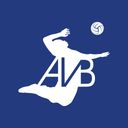 Logo du Annecy Volley Ball