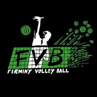 Logo du Firminy Volley-Ball