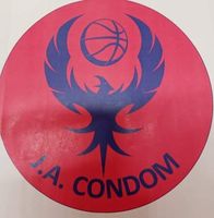 Logo du IE - J.A. CONDOMOISE