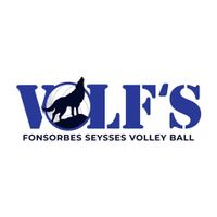 Logo du Fonsorbes Seysses Volley Ball U1
