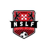Logo du NSL FUTSAL