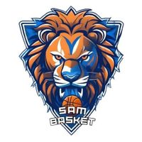 Logo du Saint André de la Marche Basket 