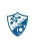 Logo du NEANT S YVEL BLEUETS
