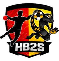 Logo du HBC Saint Sulpice Bessières U18