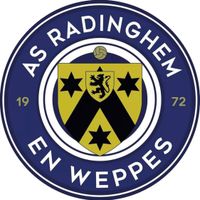 Logo du RADINGH FLEURB ENT