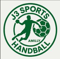 Logo du J3 Sports Amilly Handball U15