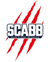 Logo du UNION LOIRE SUD BASKET