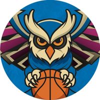 Logo du BRETTEVILLE BASKET CINGAL