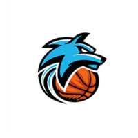 Logo du Chemille - U15 F1 (D2)