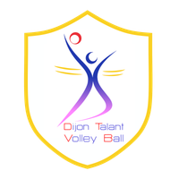 Logo du Dijon Talant Volley-Ball